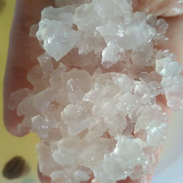 alga crystal/water kefir.