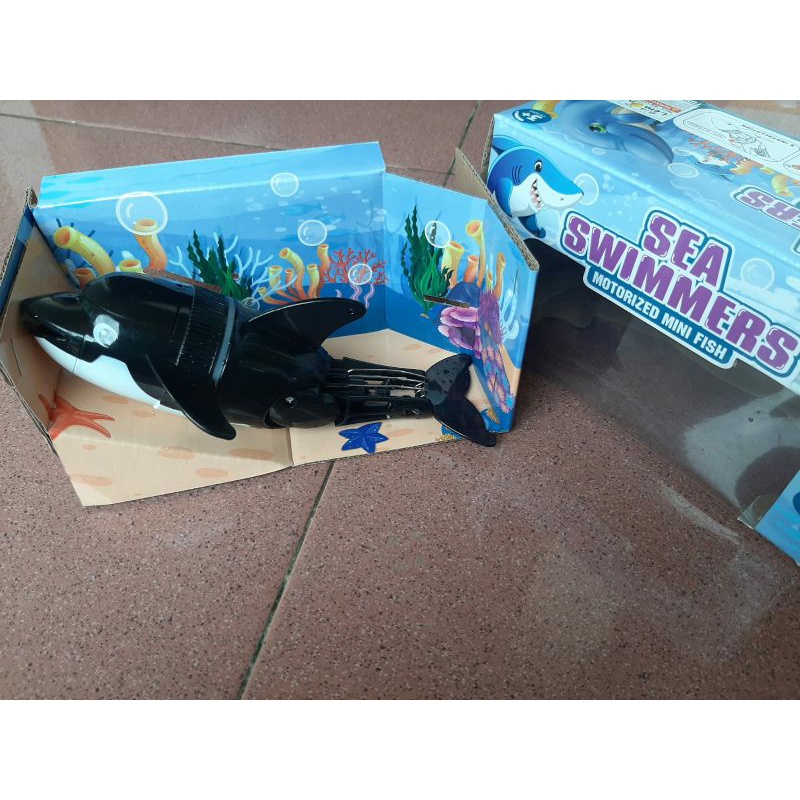 ikan lumba lumba berenang