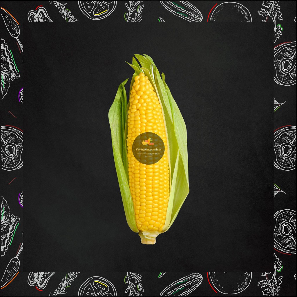 

GRAB / GOJEK ONLY JAGUNG MANIS KUPASAN