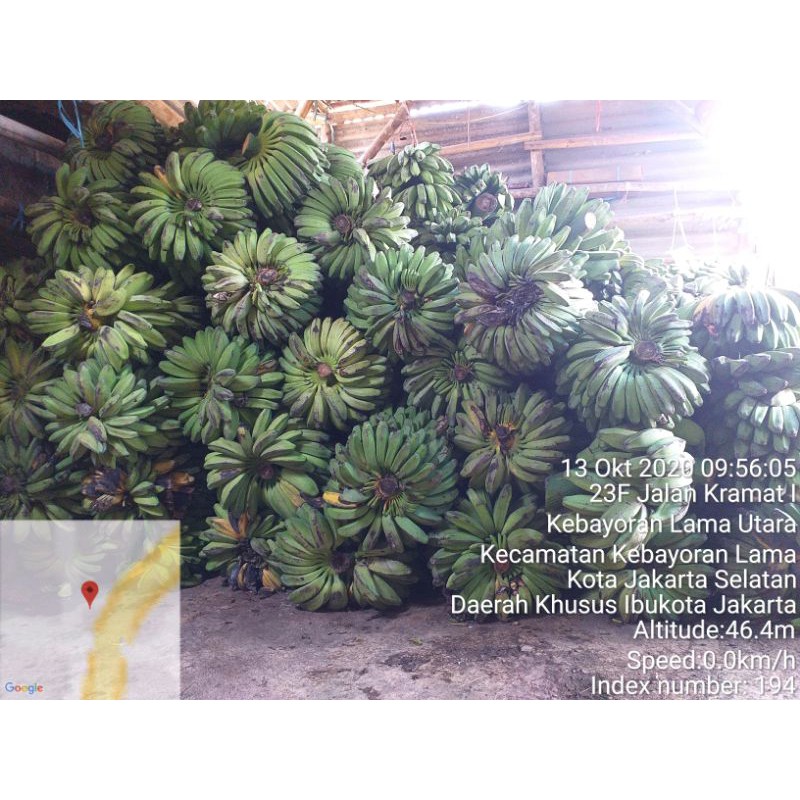 

pisang kepok 1 sisir