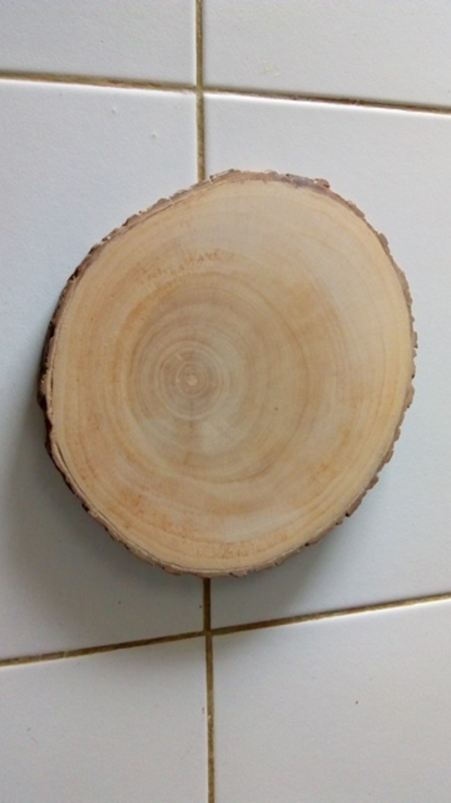 Wood Slice Tree Slice 19-20 Cm Dekorasi Pernikahan Rustic Talenan Tray