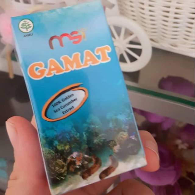 MSI Gamat