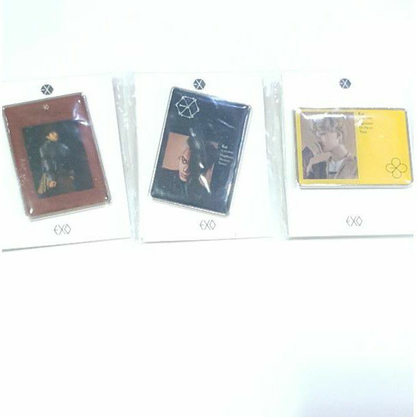 exo official epoxy badge / pin/ id - chanyeol, kai