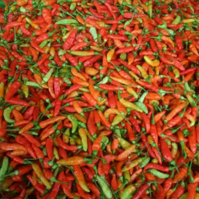 

Cabe Rawit 250gr