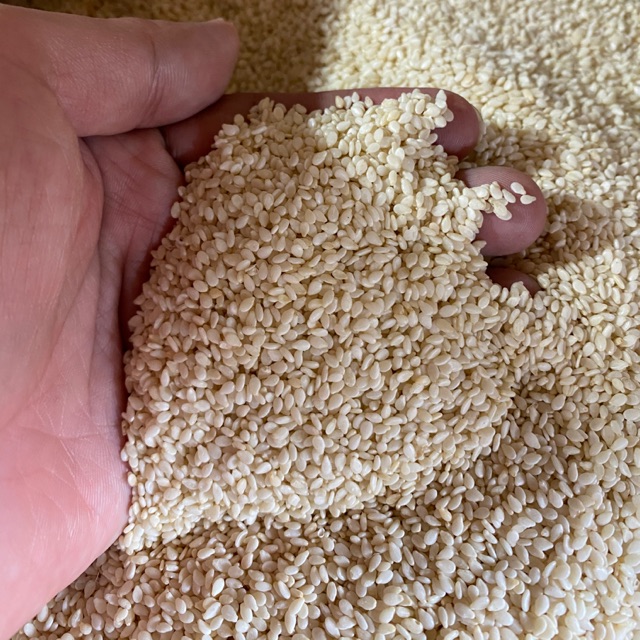 

Wijen putih / white sesame seed 100gram