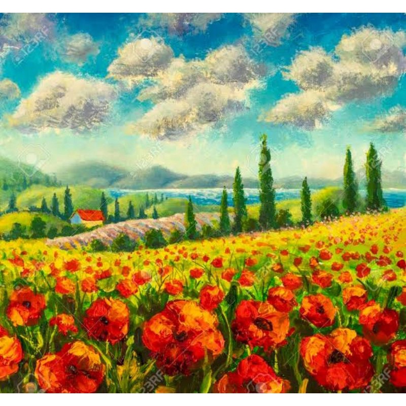 paket kristik bunga poppy pedesaan rumah tuscan dan awan full kristik