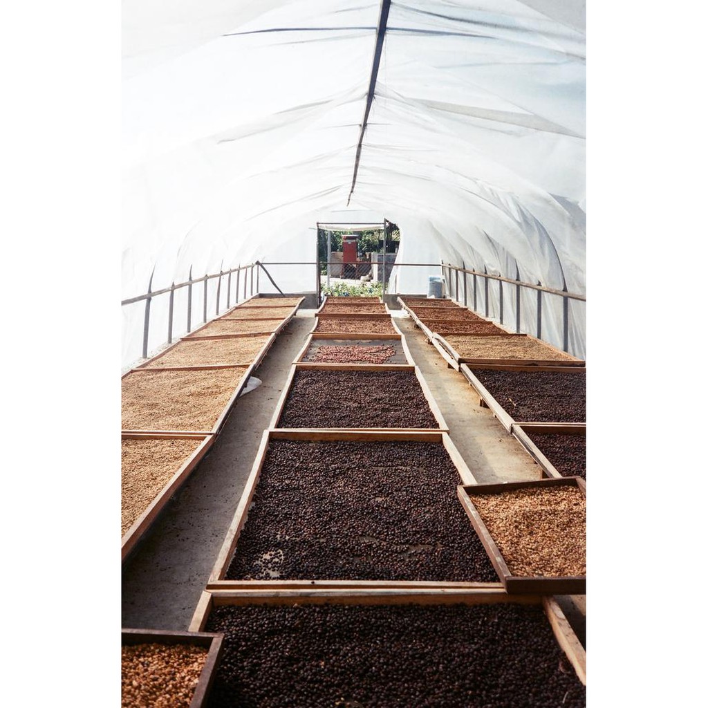 

PADUSI - WEST SUMATRA - 250GR KODE 772