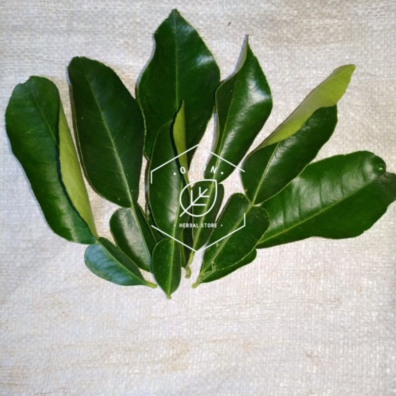 

Daun Jeruk Bali Segar 250gr