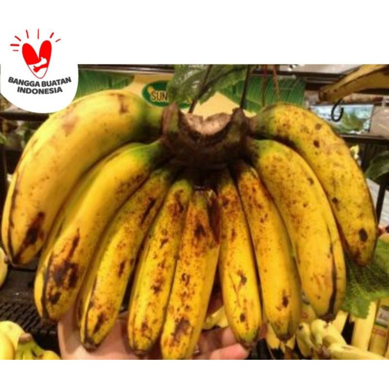 

Pisang Barangan Medan 1 Sisir Fresh