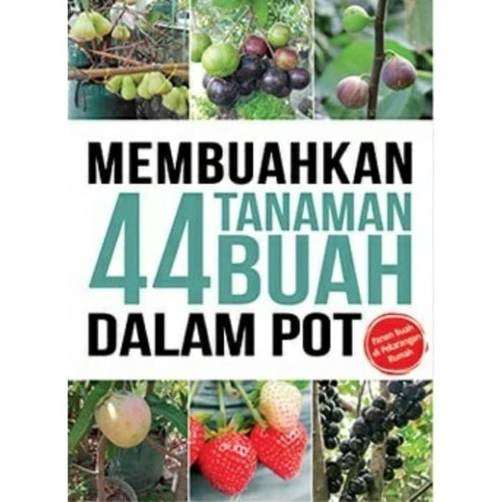#Membuahkan 44 Tanaman Buah Dalam Pot