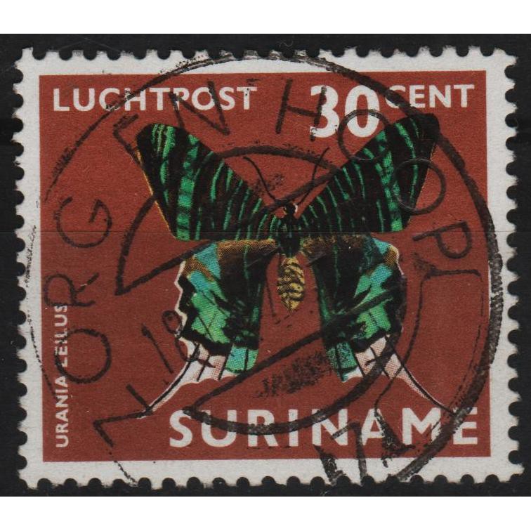

Perangko Filateli A4-128 suriname VFU 1v 16.07.1972 Air mail - moths and butterflies