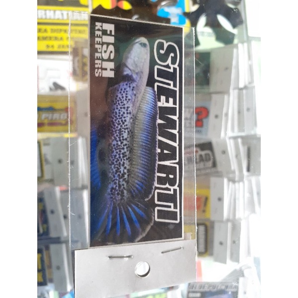 

Stiker stewarti,Sticker iwak galak stiker iwak galak sticker aquarium stiker aquarium sticker predator stiker predator