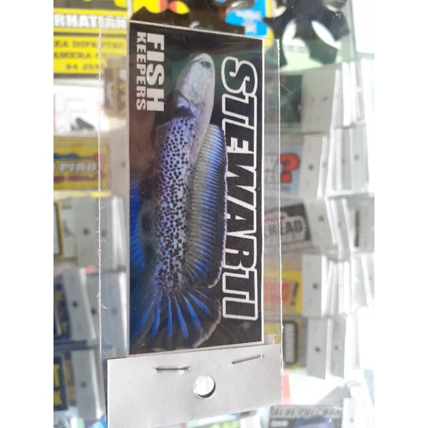 Stiker stewarti,Sticker iwak galak stiker iwak galak  sticker aquarium stiker aquarium sticker preda