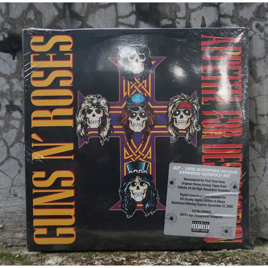Vinyl Guns n Roses SEGEL