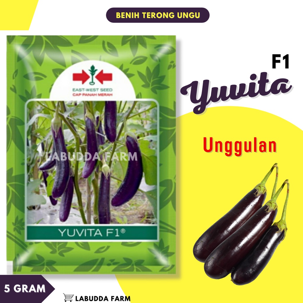 Bibit Sayur Terong - Bibit  Terong Ungu - Benih Terong Lalap - Bibit Terong Ungu Panjang - Bibit Ter