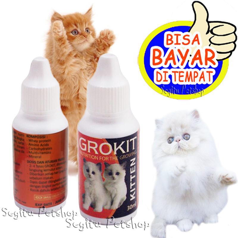 Jual VITAMIN KUCING LEMAS KURUS SUSAH MAKAN KITTEN GROKIT Shopee