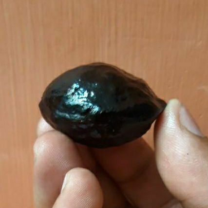 Muncang Adu Anak Marjudi