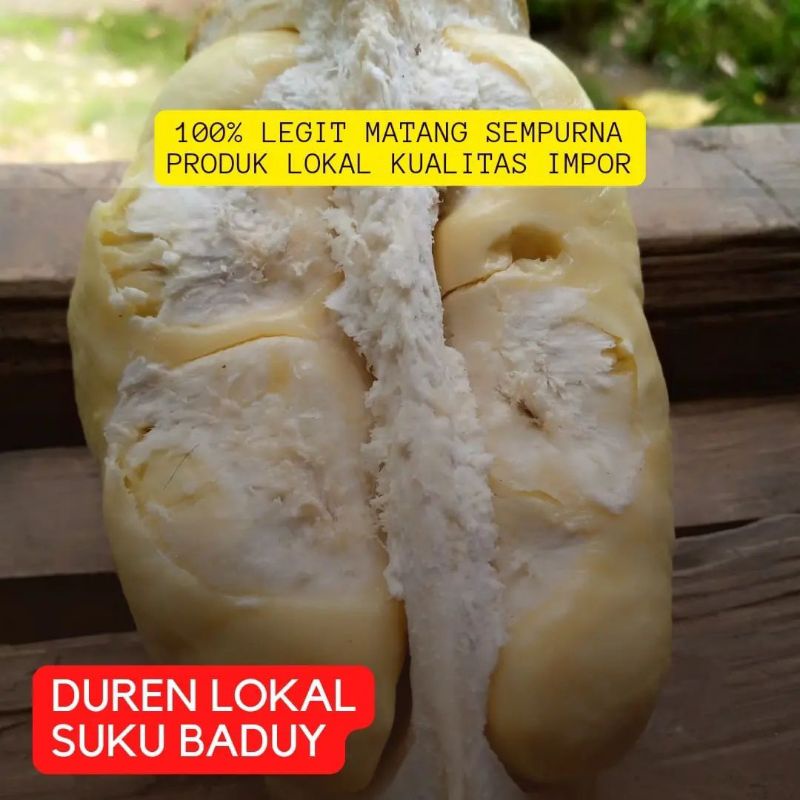 

DUREN LOKAL SUKU BADUY