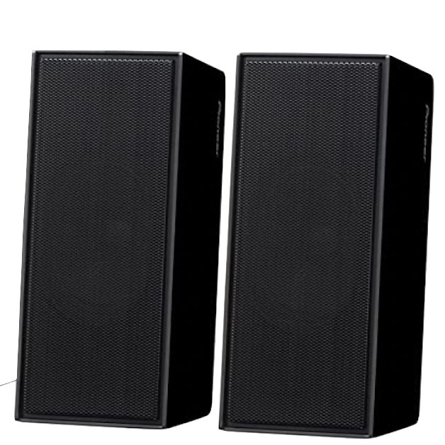 Pioneer S SL100 LR SSL100LR satellite full range speaker