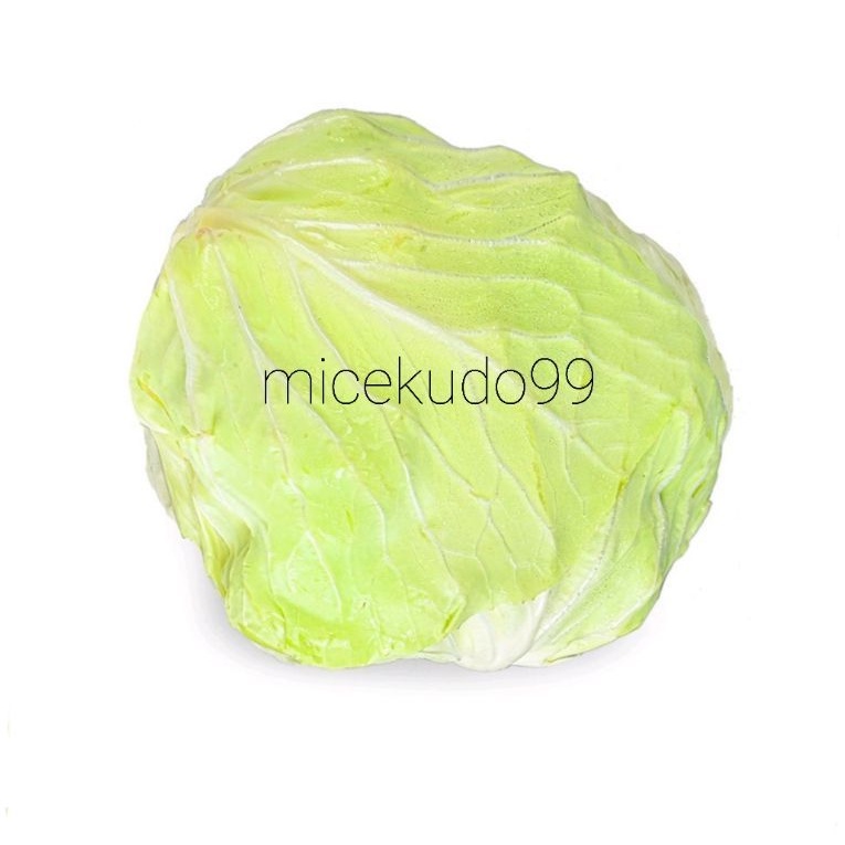 

SAYUR KOL PUTIH SEGAR / KUBIS FRESH WHITE CABBAGE BALI