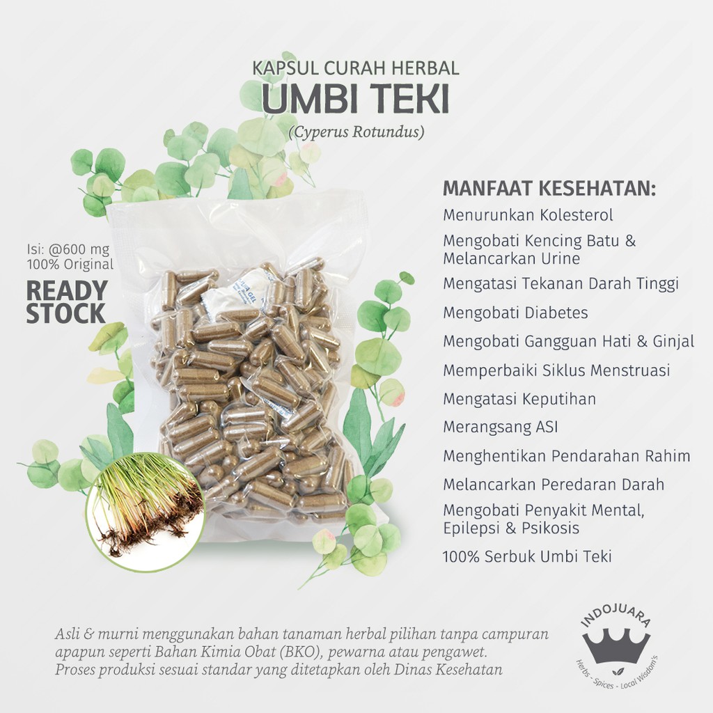 

UMBI TEKI 100 Kapsul Curah Herbal Kencing Batu Pendarahan Rahim ASI Pencernaan Penyakit Mental 600mg