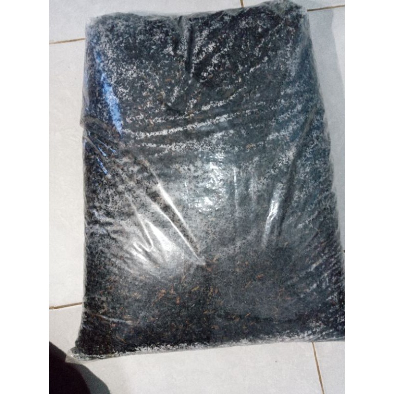 sekam padi/ sekam padi bakar