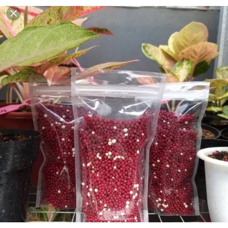 PUPUK AGLONEMA MERAH 1 KG OSMOCOTE THAILAND