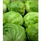 

Lettuce head