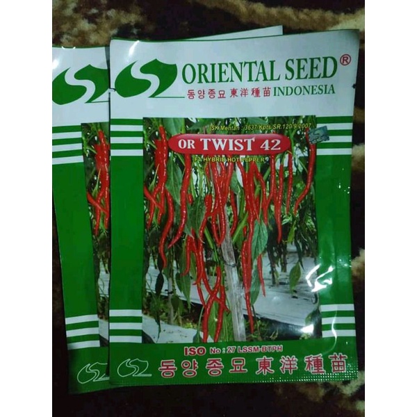 Benih Cabe kriting OR TWIST 42 ISI 10gram