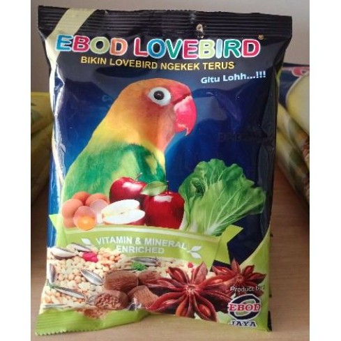 Ebod Lovebird