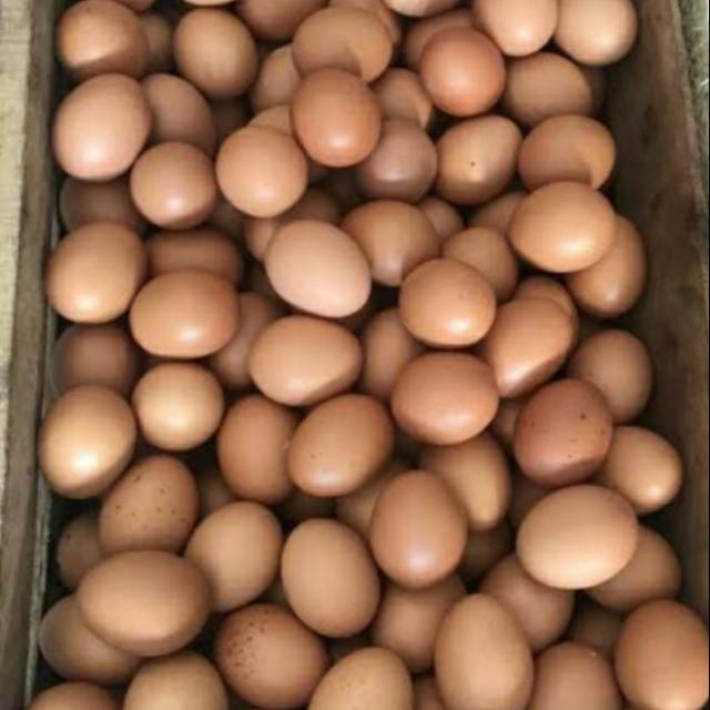 

#telurayamburasmurahmeriah