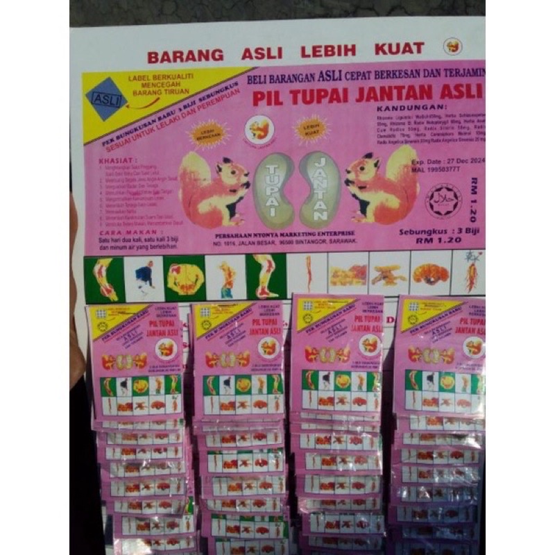 

PIL TUPAI JANTAN ORIGINAL