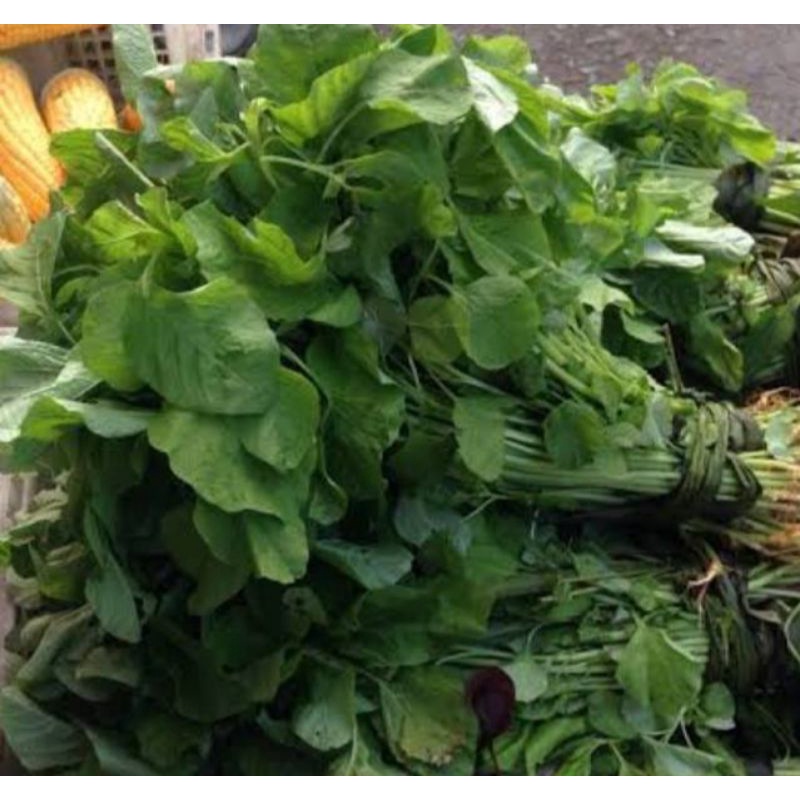 

sayur bayam