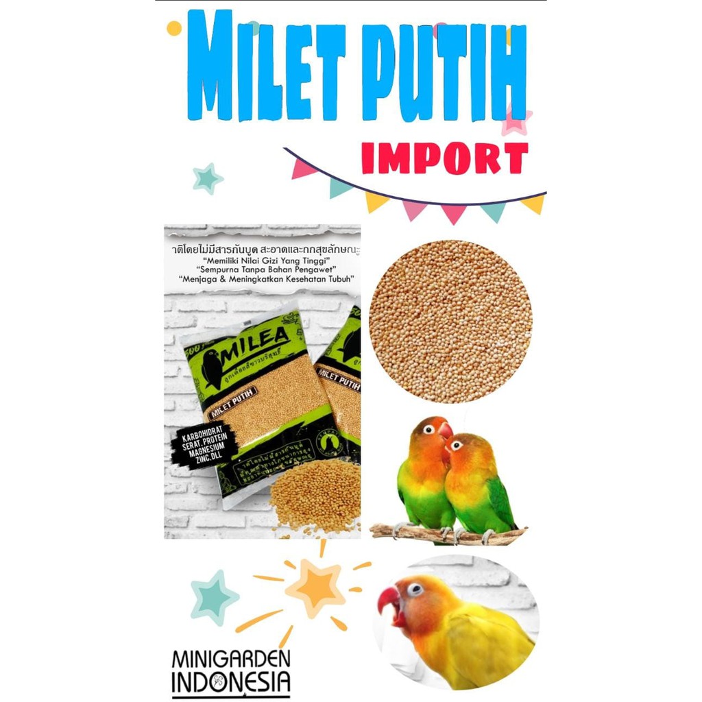 PAKAN BURUNG MILET PUTIH MILEA IMPORT PREMIUM lovebird kenari bebas kutu  tinggi protein serat