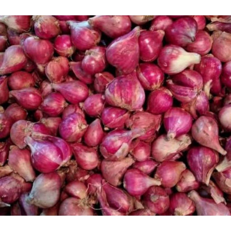 

bawang merah brebes 500gr