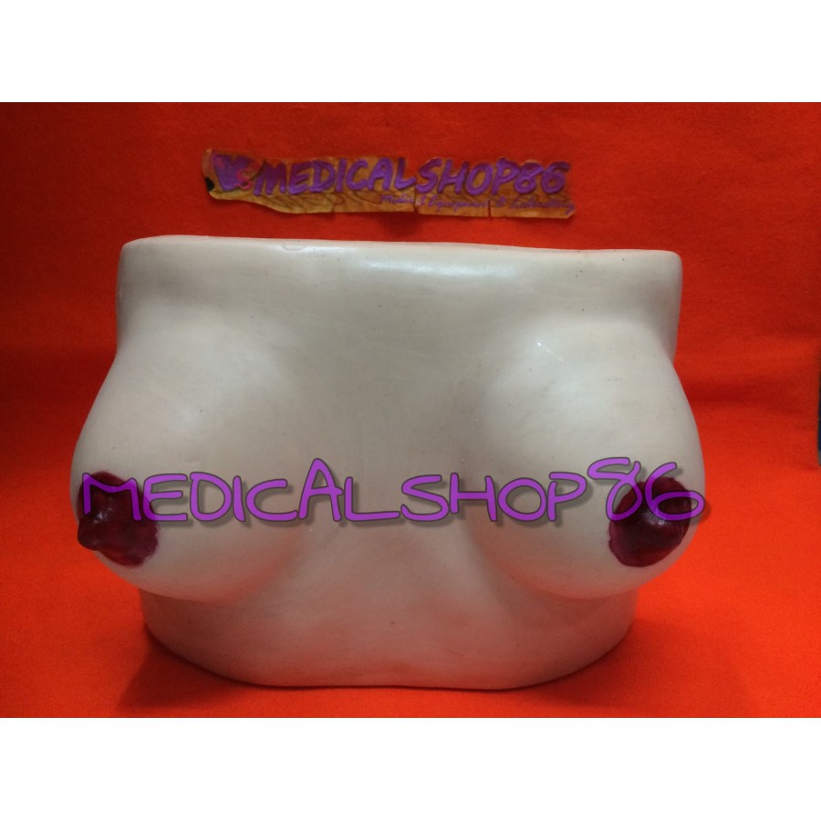 PHANTOM BREASTCARE / PHANTOM PERAWATAN PAYUDARA