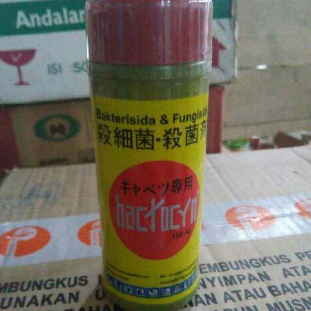 Bactocyn Bakterisida & Fungisida 200ml