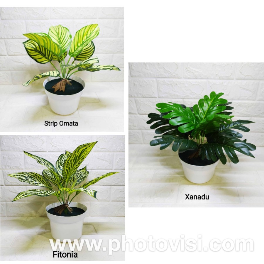 Gogreen Pot Monstera Cantik Tanaman Imitasi Pajangan Dekorasi Hiasan