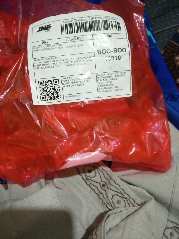 Free Ongkir Pengusir Tikus Alami Buah Simpalak Lebih Alami Dr Riddex Diskon Murah