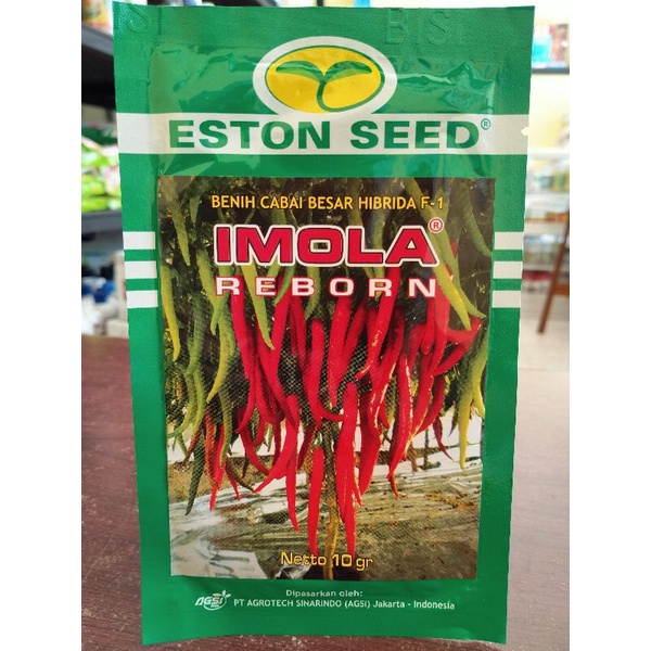 benih cabai besar IMOLA REBORN