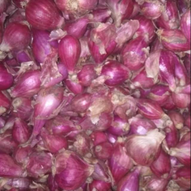 

Bawang Merah Brebes Campur