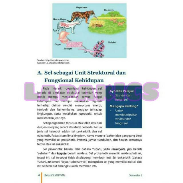 Buku IPA Ilmu Pengetahuan Alam Kelas 7 SMP Kurikulum 2013 Revisi 2017-2018 Kurtilas-7