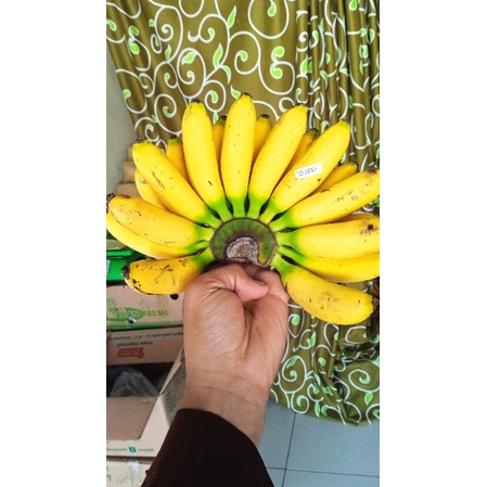 

Pisang Emas Malang matang alami