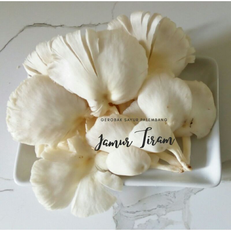 

Jamur Tiram 1pcs - Gerobak Sayur Palembang