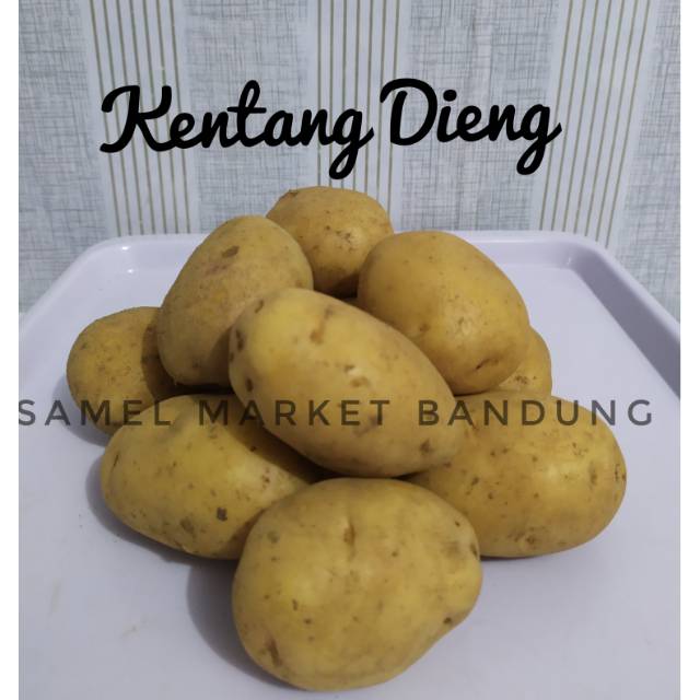 Kentang Dieng Segar