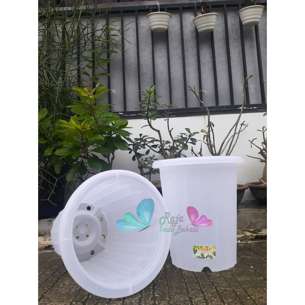 Pot Yogap 15 Transparan Bening Clear Diameter 17cm  Pot Tinggi Tebal Berkualitas Grosir Pot Yogap 10 13 15 17 18 Putih Transparan Bening Coklat Bata Murah