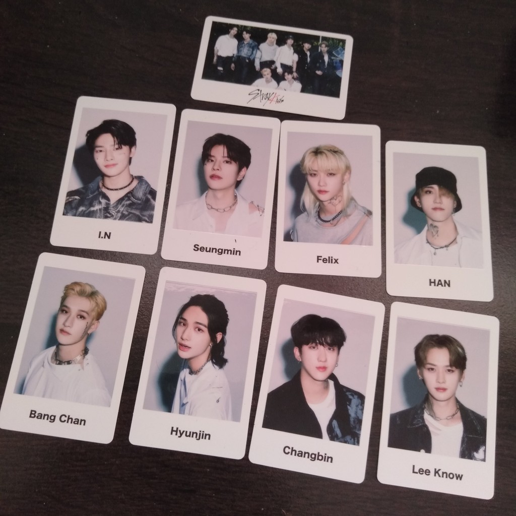 Stray Kids Scars MD Photocard Sharing