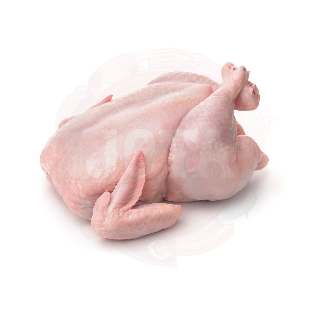 

AYAM, KARKAS 0,6-0,7 Kg (1 EKOR)
