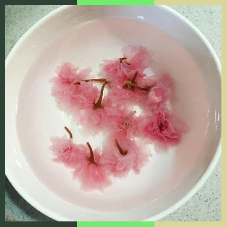 

Cherry Blossom Flower Tea Teh Bunga Sakura 10 Gram