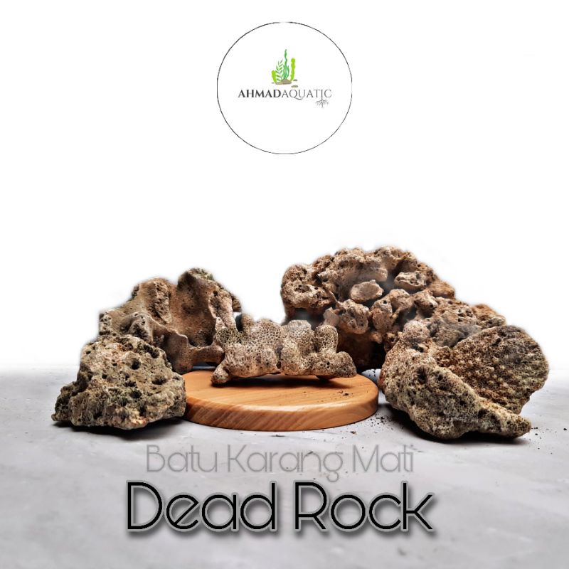 Batu Dead Rock atau Karang Mati Hiasan Aquarium/Aquascape